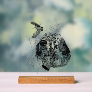 English Setter Acrylic Sign