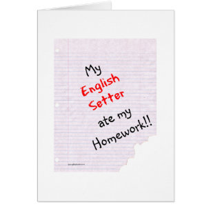 English Setter Ate My Homework