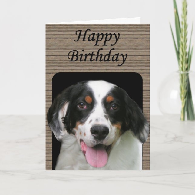 English Setter Birthday Card (Front)