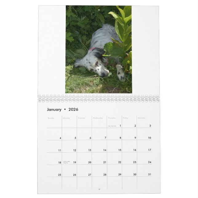 english setter Calendar (Jan 2026)