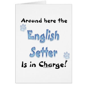 English Setter Charge