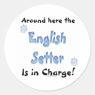 English Setter Charge - Sticker