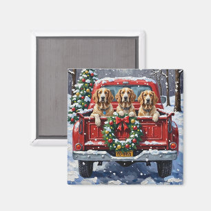 English Setter Christmas Red Truck Holiday Magnet