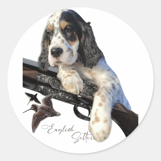 English Setter, cute puppy    Classic Round Sticker (Front)