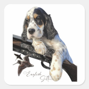 English Setter, cute puppy Square Sticker