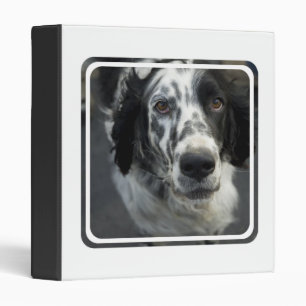 English Setter Dog Binder
