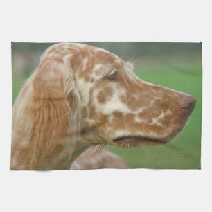 English Setter Dog Kitchen Towel