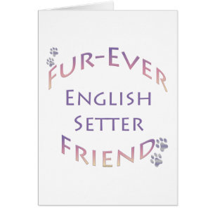 English Setter Furever