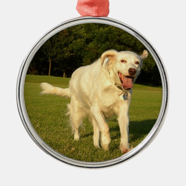 English Setter Metal Ornament (Front)