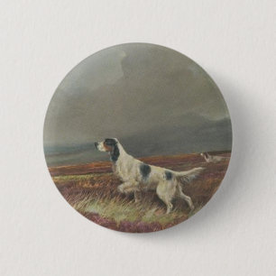 English Setter On Moorland Button