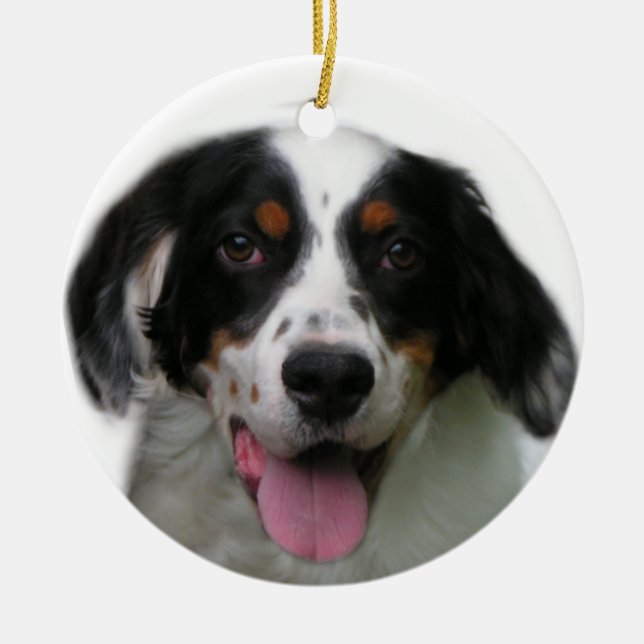 English Setter Ornament (Front)