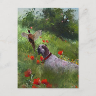 English Setter , Pheasant hunting  Holiday Postcard