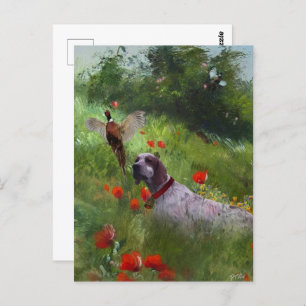 English Setter , Pheasant hunting  Postcard