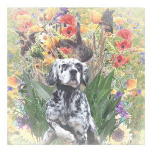 English Setter    Photo Print
