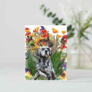 English Setter    Postcard