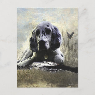 English Setter  Postcard