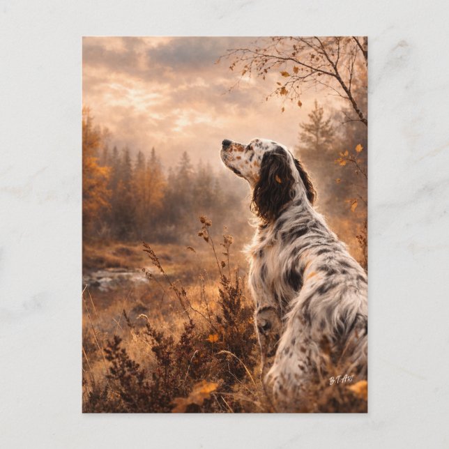 English Setter Postcard (Front)