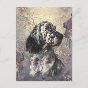 English Setter  Postcard