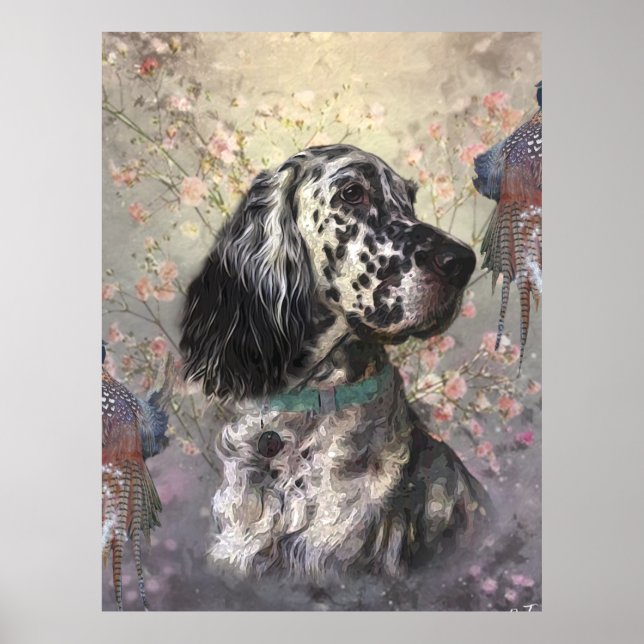 English Setter  Poster (Front)