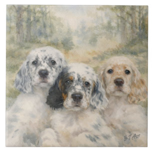 English Setter Puppies Tile