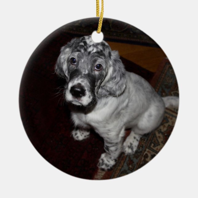 English Setter Puppy Ceramic Ornament (Front)