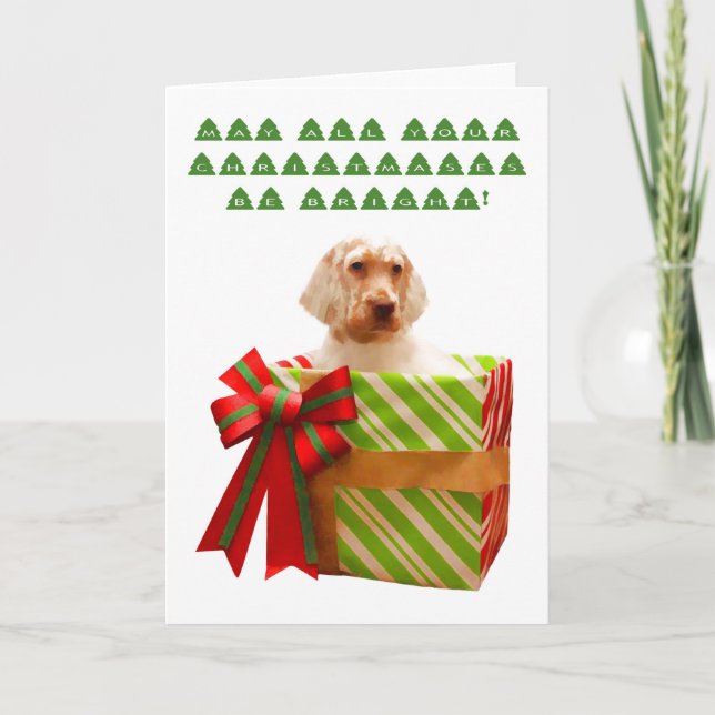 English Setter Puppy Christmas Card (Front)