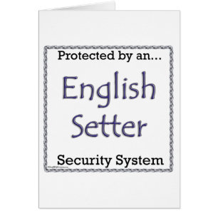 English Setter Security System