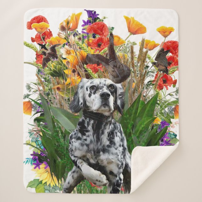 English Setter     Sherpa Blanket (Front)