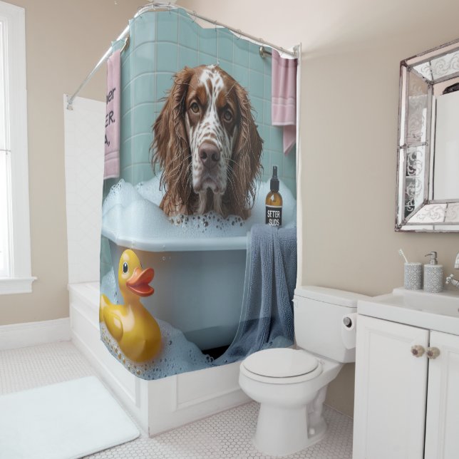 English Setter Sloppy Sleepy Cute Funny  (In Situ)
