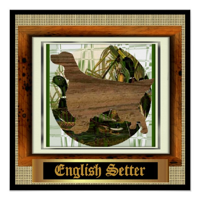 English Setter Sporting Poster (Front)