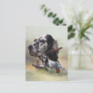 English setter with pheasants, art      postcard