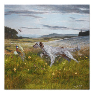 English setter with pheasants, art   poster