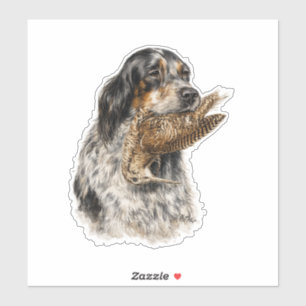English Setter , woodcock hunting 