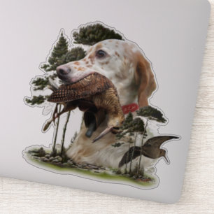 English Setter , woodcock hunting