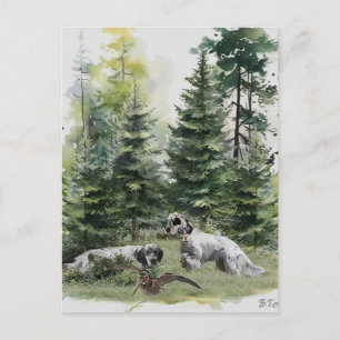 English setter , Woodcock Hunting , Art Holiday Postcard