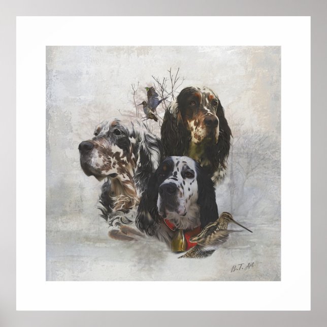 English Setter , woodcock hunting  Poster (Front)