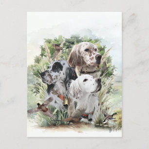 English Setters Invitation Postcard