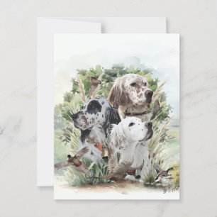 English Setters  Postcard
