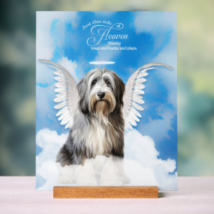 English Sheepdog Angel with Name Pet Memorial Acrylic Sign