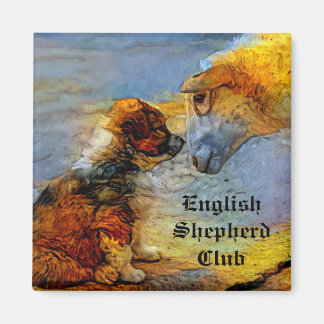 English shepherd puppy fridge magnet
