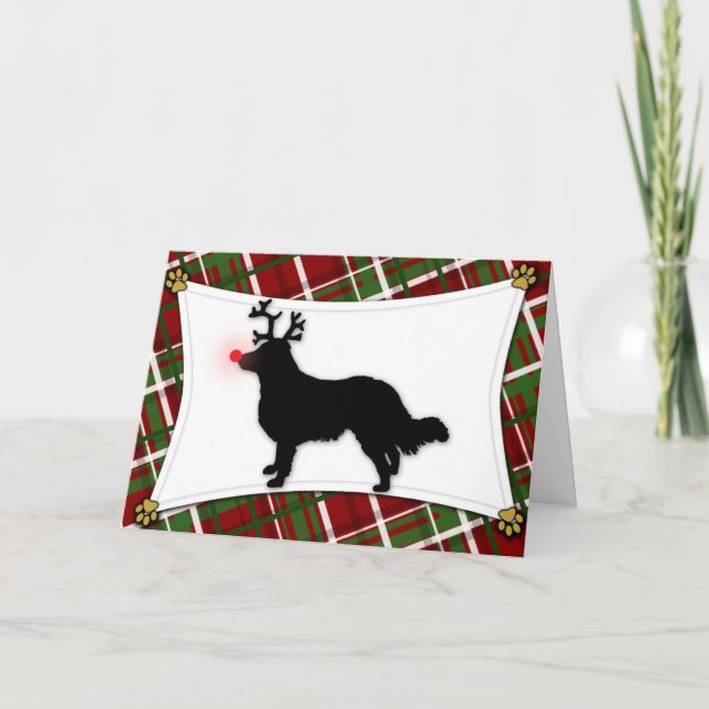 English Shepherd Reindeer Christmas Card (Front)