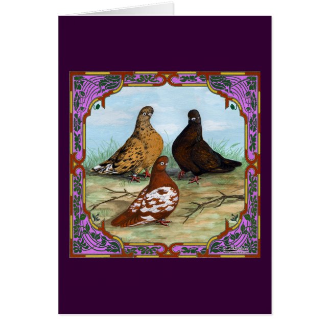 English Shortfaced Pigeons Framed (Front)