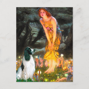 English Springer 7 - MidEve Postcard