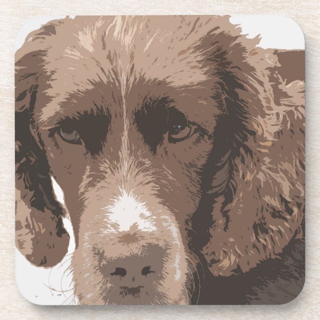 English Springer Coaster (Front)
