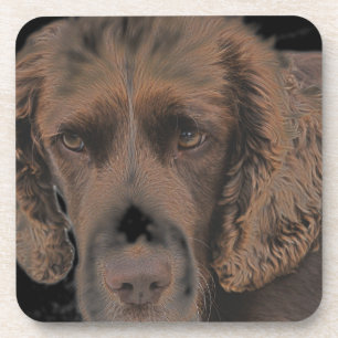 English Springer Dogs Coaster