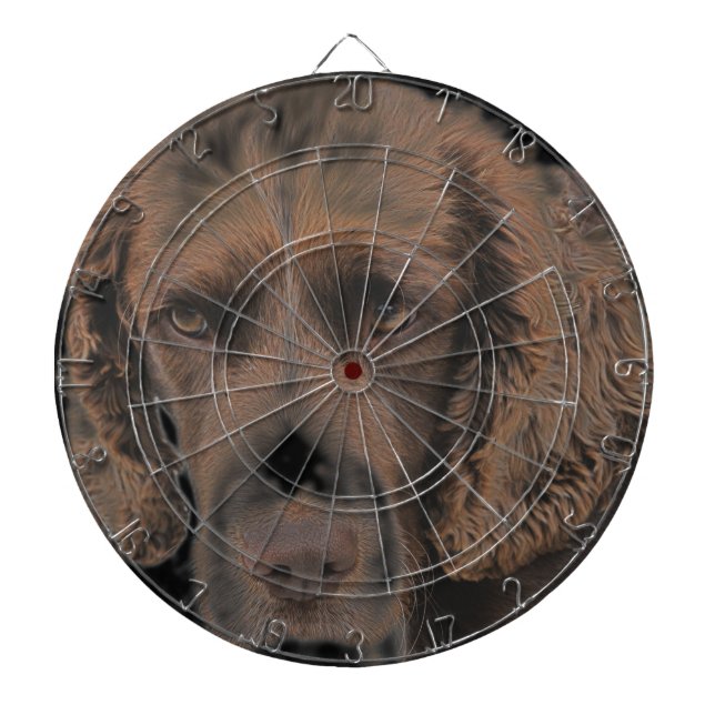 English Springer Dogs Dartboard (Front)