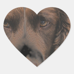 English Springer Dogs Heart Sticker