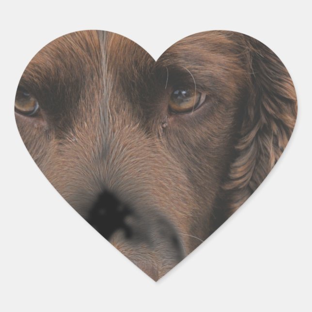 English Springer Dogs Heart Sticker (Front)