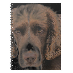 English Springer Dogs Notebook