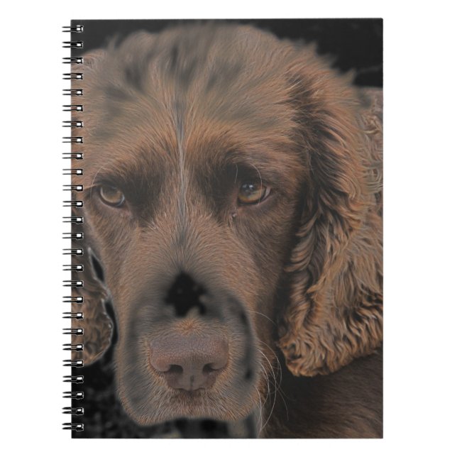 English Springer Dogs Notebook (Front)